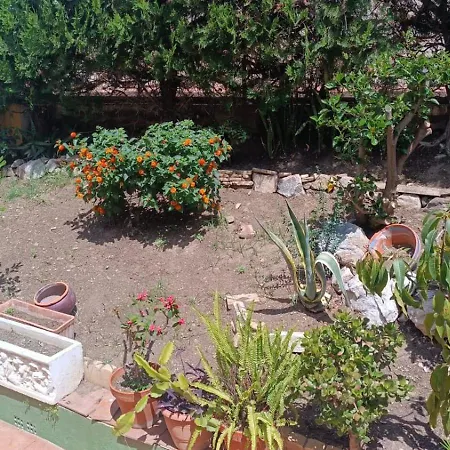 Apartment Natura
